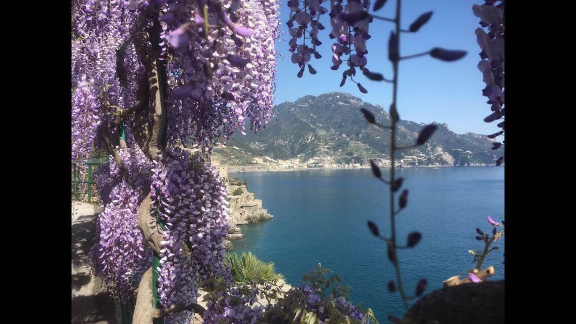 Villa Petit Ludovica Ravello Exteriör bild