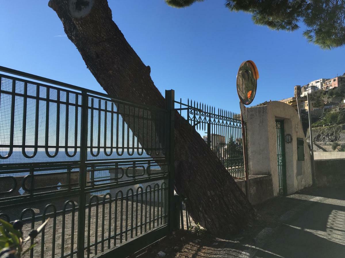 Villa Petit Ludovica Ravello Exteriör bild